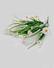 Picture of Chamomile flower bouquet